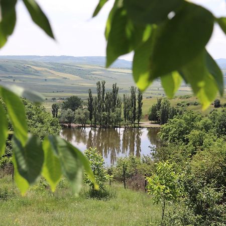 Lakeside Garden - Ismayilli Guest House Екстер'єр фото