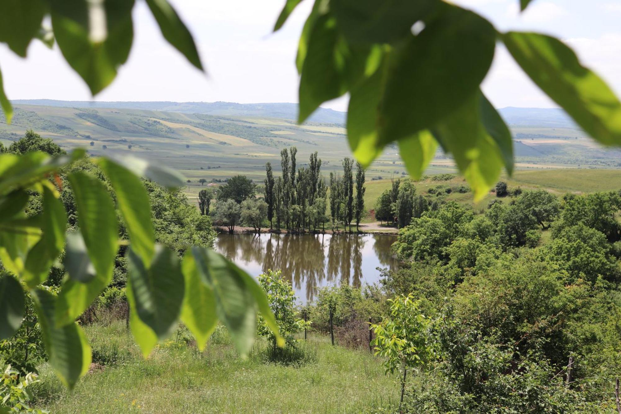 Lakeside Garden - Ismayilli Guest House Екстер'єр фото